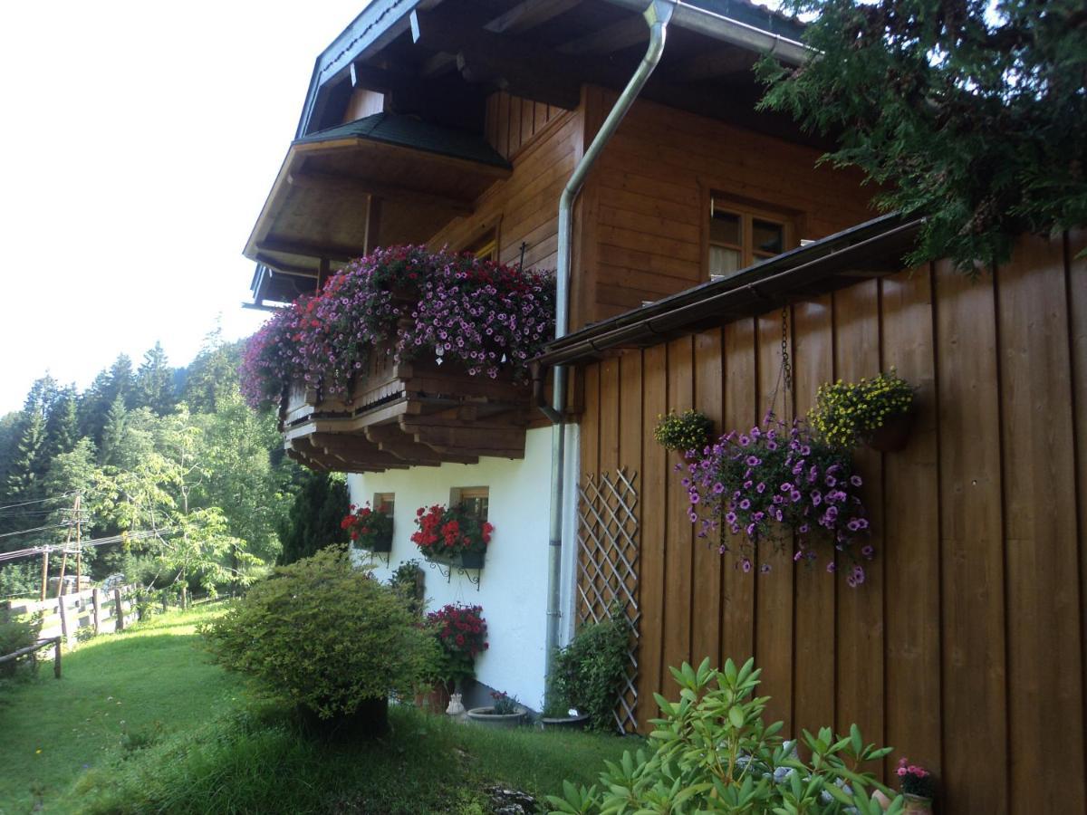 Gondelblick Apartment Wagrain Exterior photo